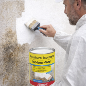 Peinture isolante anti humidité et anti salpêtre